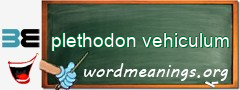 WordMeaning blackboard for plethodon vehiculum